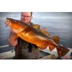 Discounted set NORWAY