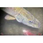 Nymph REDBASS Nr. 1 XXL - 200 mm - 1 pcs