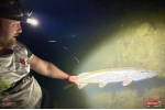 Nymph REDBASS Nr. 1 XXL - 200 mm - 1 pcs