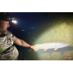 Nymph REDBASS Nr. 1 XXL - 200 mm - 1 pcs