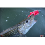 Nymph REDBASS Nr. 1 XXL - 200 mm - 1 pcs