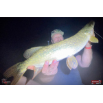 Nymph REDBASS Nr. 1 XXL - 200 mm - 1 pcs