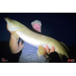 Nymph REDBASS Nr. 1 XXL - 200 mm - 1 pcs