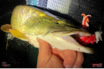 Nymph REDBASS Nr. 1 XXL - 200 mm - 1 pcs