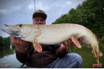 Nymph REDBASS Nr. 1 XXL - 200 mm - 1 pcs