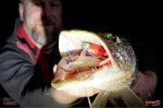 Nymph REDBASS Nr. 1 XXL - 200 mm - 1 pcs