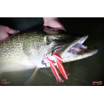 Nymph REDBASS Nr. 1 XXL - 200 mm - 1 pcs