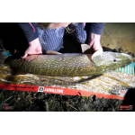 Nymph REDBASS Nr. 1 XXL - 200 mm - 1 pcs