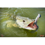 Nymph REDBASS Nr. 1 XXL - 200 mm - 1 pcs