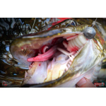 Nymph REDBASS Nr. 1 XXL - 200 mm - 1 pcs
