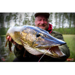 Nymph REDBASS Nr. 1 XXL - 200 mm - 1 pcs