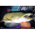 Nymph REDBASS Nr. 1 XXL - 200 mm - 1 pcs