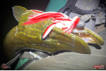 Nymph REDBASS Nr. 1 XXL - 200 mm - 1 pcs