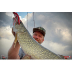 Nymph REDBASS Nr. 1 XXL - 200 mm - 1 pcs