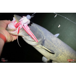 Nymph REDBASS Nr. 1 XXL - 200 mm - 1 pcs