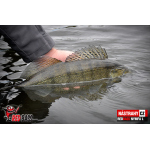 Nymph REDBASS Nr. 1 L - 80 mm - 1 pcs