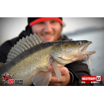 Nymph REDBASS Nr. 1 L - 80 mm - 1 pcs