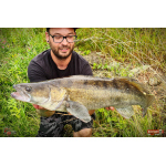 Nymph REDBASS Nr. 1 L - 80 mm - 1 pcs