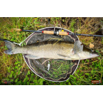 Nymph REDBASS Nr. 1 L - 80 mm - 1 pcs