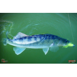 Nymph REDBASS Nr. 1 L - 80 mm - 1 pcs