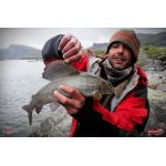 Nymph REDBASS Nr. 1 L - 80 mm - 1 pcs