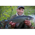 Nymph REDBASS Nr. 1 L - 80 mm - 1 pcs