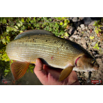 Nymph REDBASS Nr. 1 L - 80 mm - 1 pcs