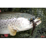 Nymph REDBASS Nr. 1 L - 80 mm - 1 pcs