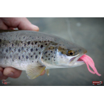 Nymph REDBASS Nr. 1 L - 80 mm - 1 pcs