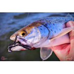 Nymph REDBASS Nr. 1 L - 80 mm - 1 pcs