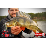 Nymph REDBASS Nr. 1 L - 80 mm - 1 pcs