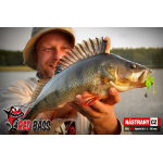 Set Streamer Cheburashka