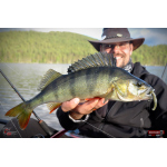 Nymph REDBASS Nr. 1 L - 80 mm - 1 pcs