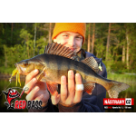Set Streamer Cheburashka