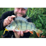 Nymph REDBASS Nr. 1 L - 80 mm - 1 pcs