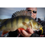 Nymph REDBASS Nr. 1 L - 80 mm - 1 pcs
