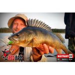 Nymph REDBASS Nr. 1 L - 80 mm - 1 pcs