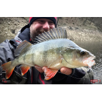 Nymph REDBASS Nr. 1 L - 80 mm - 1 pcs
