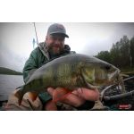 Nymph REDBASS Nr. 1 L - 80 mm - 1 pcs
