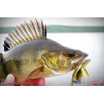Nymph REDBASS Nr. 1 L - 80 mm - 1 pcs