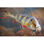 Nymph REDBASS Nr. 1 L - 80 mm - 1 pcs