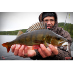 Nymph REDBASS Nr. 1 L - 80 mm - 1 pcs