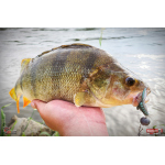 Nymph REDBASS Nr. 1 L - 80 mm - 1 pcs