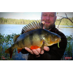 Nymph REDBASS Nr. 1 L - 80 mm - 1 pcs