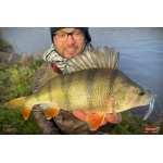 Nymph REDBASS Nr. 1 L - 80 mm - 1 pcs