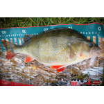 Nymph REDBASS Nr. 1 L - 80 mm - 1 pcs