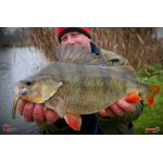 Nymph REDBASS Nr. 1 L - 80 mm - 1 pcs