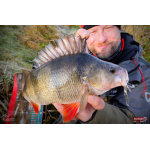 Nymph REDBASS Nr. 1 L - 80 mm - 1 pcs