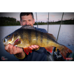 Nymph REDBASS Nr. 1 L - 80 mm - 1 pcs