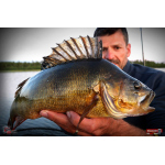 Nymph REDBASS Nr. 1 L - 80 mm - 1 pcs